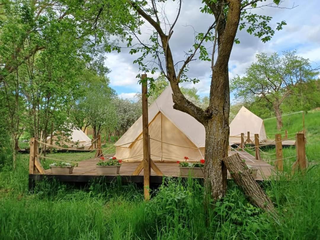 My Lake Glamping Dalnic Екстер'єр фото
