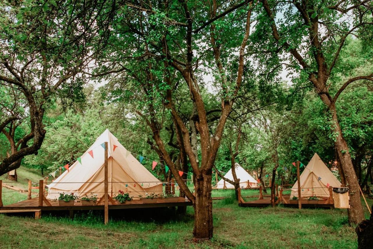 My Lake Glamping Dalnic Екстер'єр фото